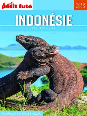 cover image of INDONÉSIE 2019/2020 Petit Futé